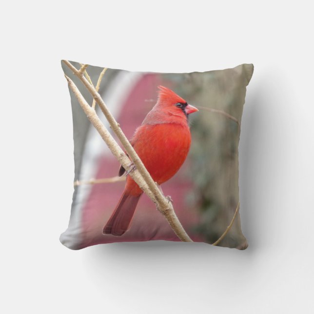 Cojín decorativo Cardinal Rojo (Anverso)