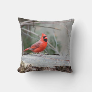 Cojín Decorativo Cardinal Woodland