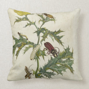 Cojín Decorativo Cardos Spinosus: Escarabajos y orugas, placa 6