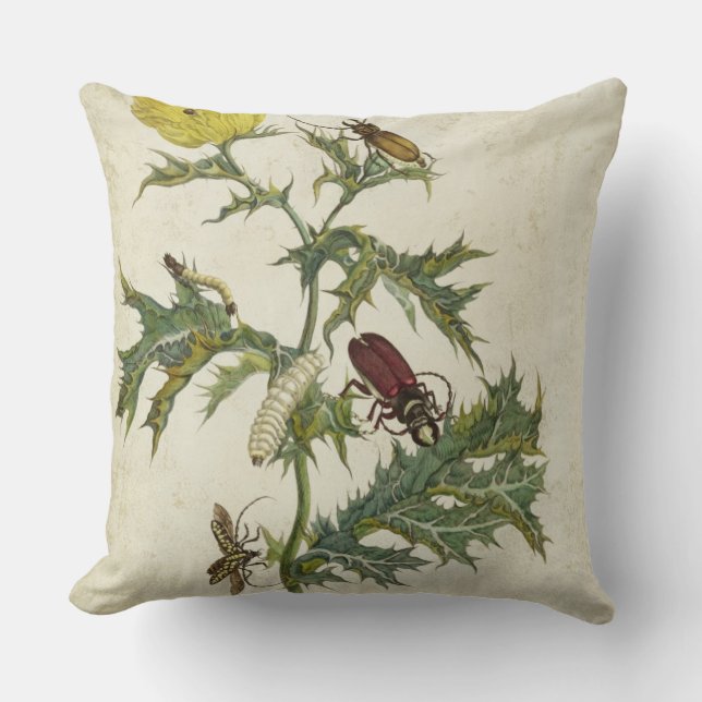 Cojín Decorativo Cardos Spinosus: Escarabajos y orugas, placa 6 (Anverso)