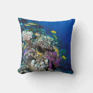 Cojín Decorativo Cardumen de Salmonetes alrededor de pequeño coral