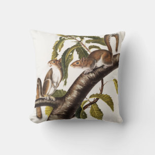 Cojín Decorativo Carolina Gray Squirrel (Sciurus Carolinensis)