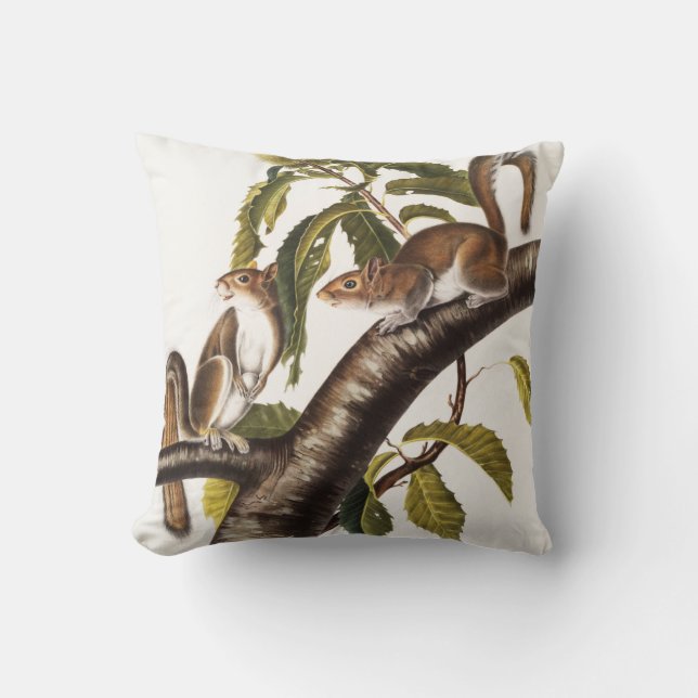 Cojín Decorativo Carolina Gray Squirrel (Sciurus Carolinensis) (Anverso)