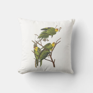 Cojín Decorativo Carolina Parakeet de Audubon