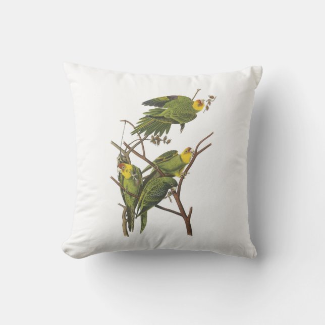 Cojín Decorativo Carolina Parakeet de Audubon (Anverso)