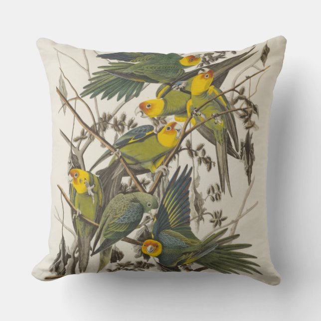 Cojín Decorativo Carolina Parrot - John James Audubon (1827-1838) (Anverso)