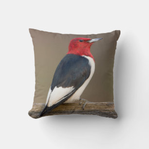 Cojín Decorativo Carpintero de cabeza roja en cerca