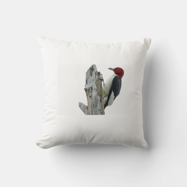 Cojín Decorativo Carpintero rojo (Anverso)