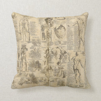 Cojín Decorativo Carta anatómica de Cyclopaedia 1728