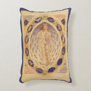 Cojín Decorativo Carta Antigüa del Zodiaco Celeste, Astrología Vint