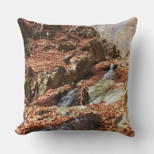 Cojín Decorativo Cascada de Montaña - Naturaleza Salvaje Rumania