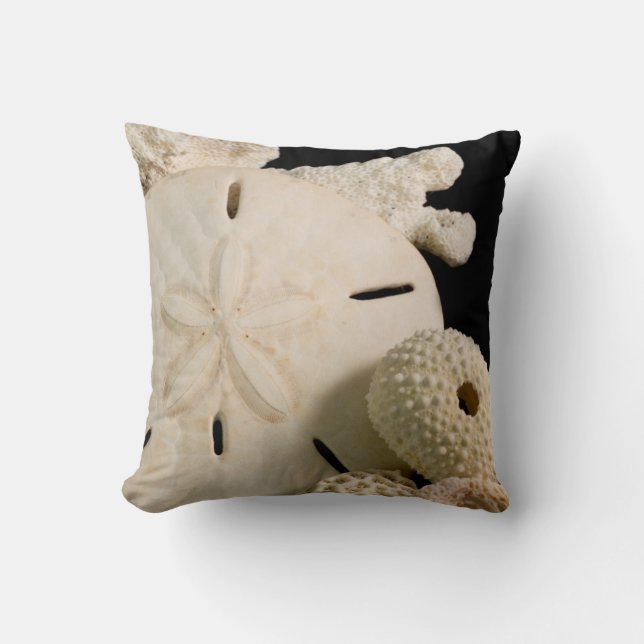 Cojín Decorativo Cascos Marinos Blancos Y Dólar Arena (Anverso)