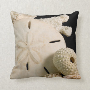Cojín Decorativo Cascos Marinos Blancos Y Dólar Arena
