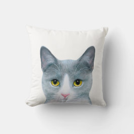 Cojín Decorativo Cat 611