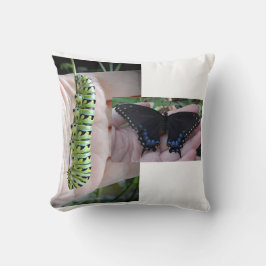 Cojín Decorativo Caterpillar/mariposa