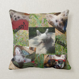 Cojín Decorativo Cattails y perro lindo