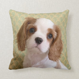 Cojín decorativo Cavalier Spaniel