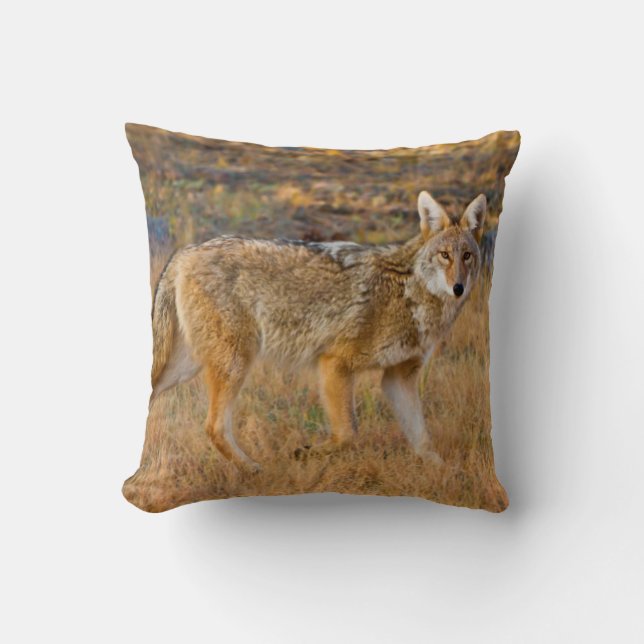 Cojín Decorativo Caza de Coyote (Canis Latrans) (Anverso)
