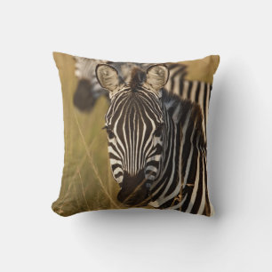 Cojín Decorativo Cebra de Burchell en hierba alta de verano, Masai