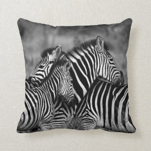 Cojín Decorativo Cebras