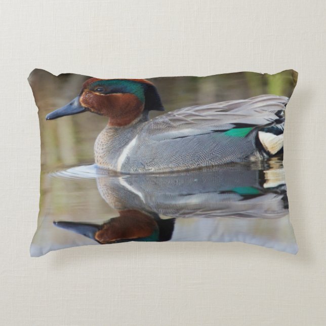Cojín Decorativo Cerceta Aliazul (Anverso)