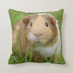 Cojín Decorativo Cerdo guineano con Mascota de pelo liso Tri Color