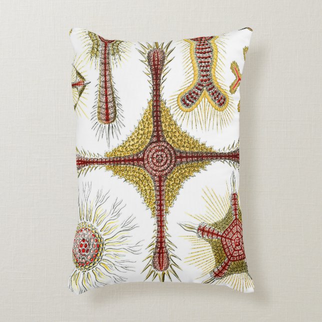 Cojín Decorativo Chamomile salvaje de Ernst Haeckel, naturaleza vin (Frente (Vertical))