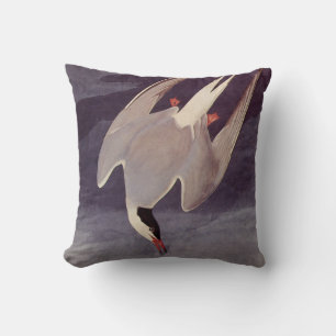 Cojín Decorativo Charrán Ártico por John James Audubon, Aves Antigu