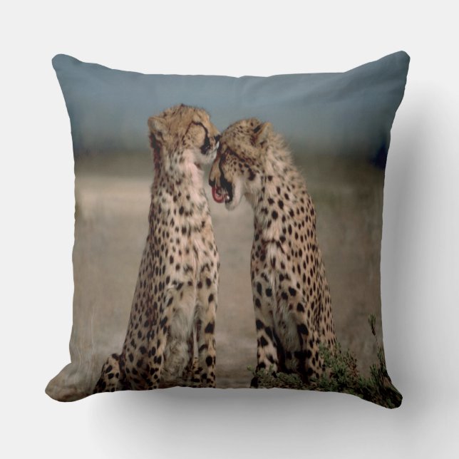 Cojín Decorativo Cheetah Love (Anverso)