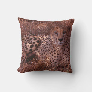Cojín Decorativo Cheetah Stare