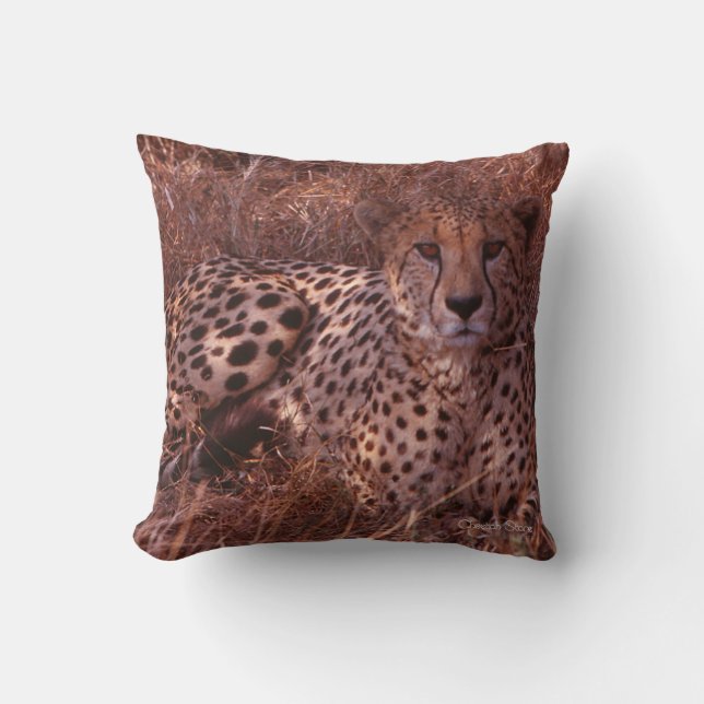 Cojín Decorativo Cheetah Stare (Anverso)