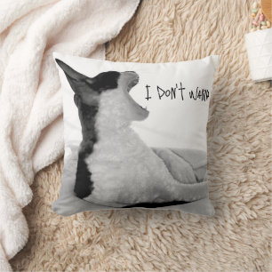 Cojín Decorativo Chewy sez... No quiero.