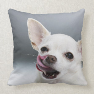 Cojín Decorativo Chihuahua blanca que lame los labios