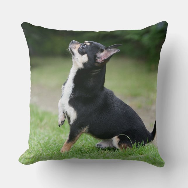 Cojín Decorativo Chihuahua negra y poner crema (Anverso)