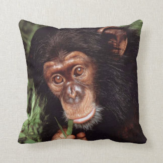 Cojín Decorativo Chimpancé
