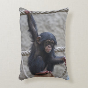 Cojín Decorativo Chimpanzee 017