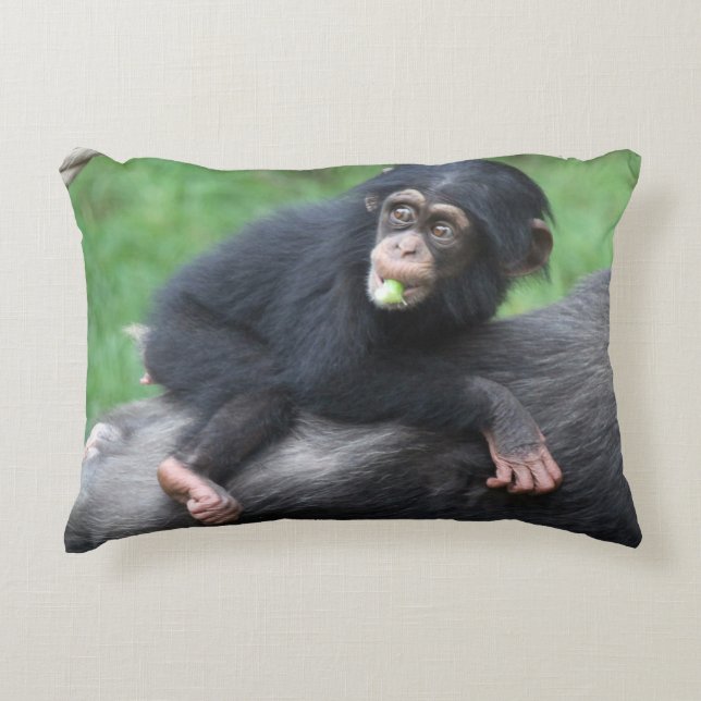 Cojín Decorativo Chimpanzee 032 (Anverso)
