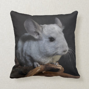 Cojín Decorativo Chinchilla