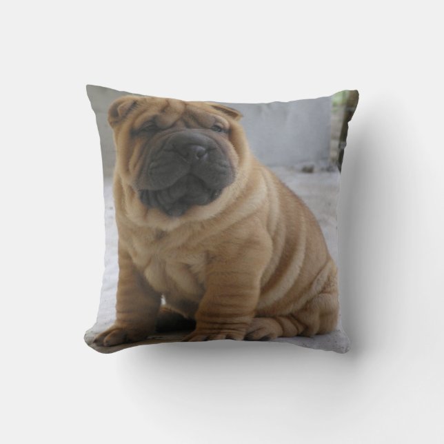 Cojín Decorativo CHiNESE ShAR PEi (Anverso)
