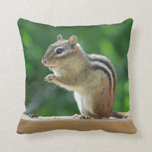 Cojín Decorativo Chipmunk