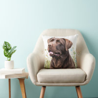 Chocolate Labrador