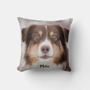 Cojín Decorativo Chocolate Pastor Australiano Perro Cachorro