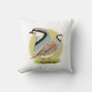Cojín Decorativo Chukar Partridge Combo