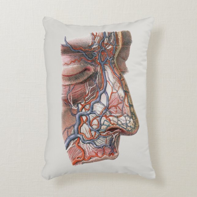 Cojín Decorativo Ciencia Antigüa Anatomía Humana, Cara con Nariz (Frente (Vertical))