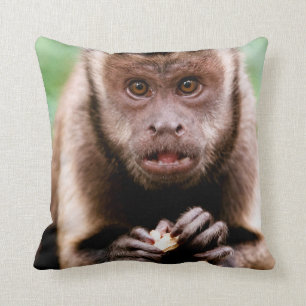 Cojín Decorativo Cierre de un mono capuchino con tapa negra