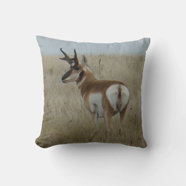 Cojín Decorativo Ciervo berrendo macho A22 (Anverso)