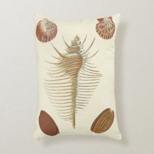 Cojín Decorativo Cinco de Seashells buenos