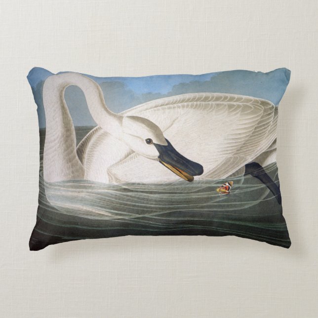 Cojín Decorativo Cisne de trompetista de John James Audubon (Anverso)