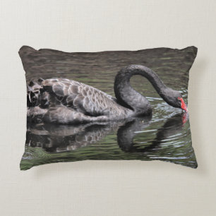 Cojín Decorativo Cisne Negro