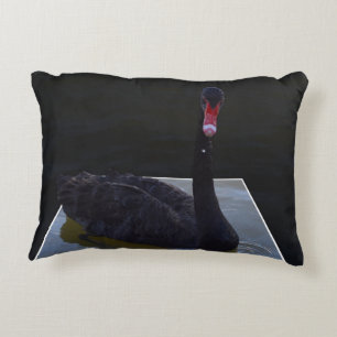 Cojín Decorativo Cisne Negro Nadando En Estanque Dimensional,